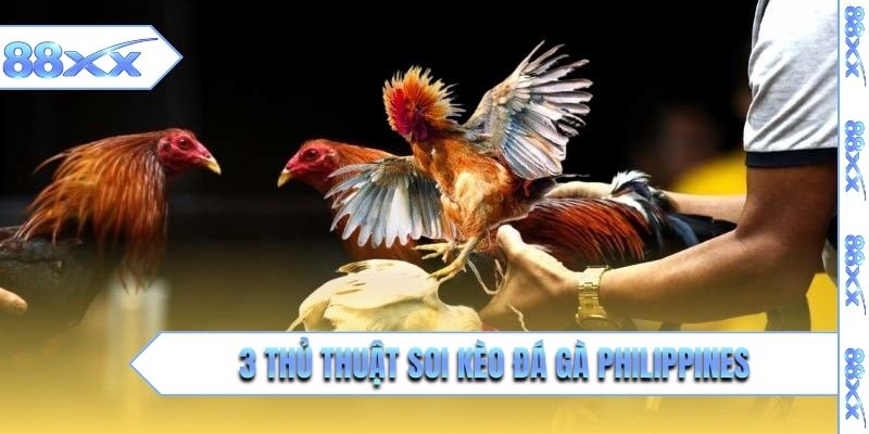3 thủ thuật soi kèo đá gà Philippines chuẩn chỉnh